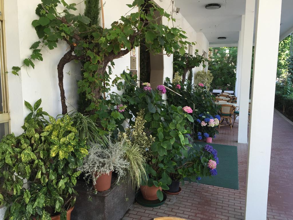 Hotel Villa Verde San Mauro Mare Extérieur photo